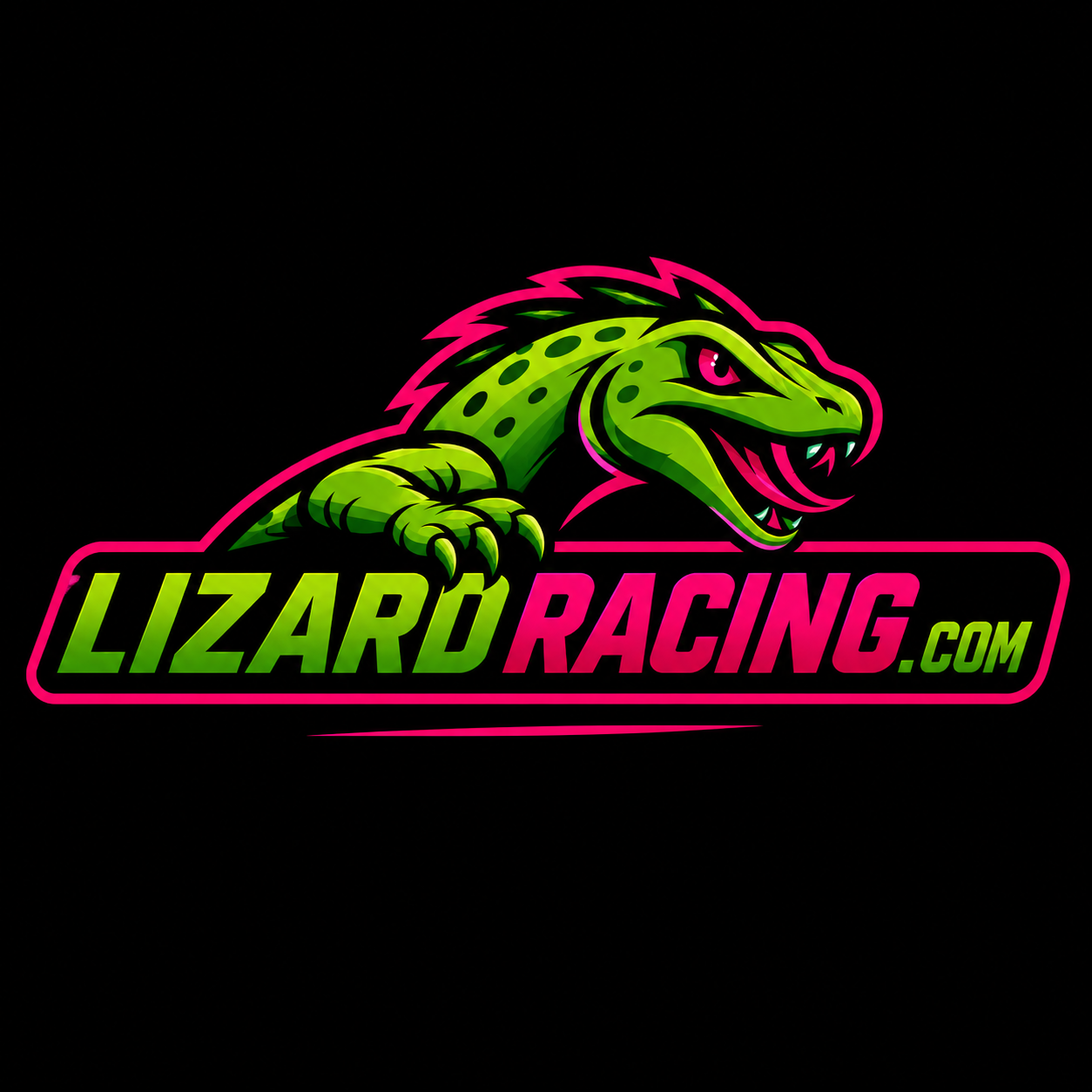Driver Rankings — Lizard Racing